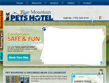 Tablet Screenshot of bluemountainpetshotel.com